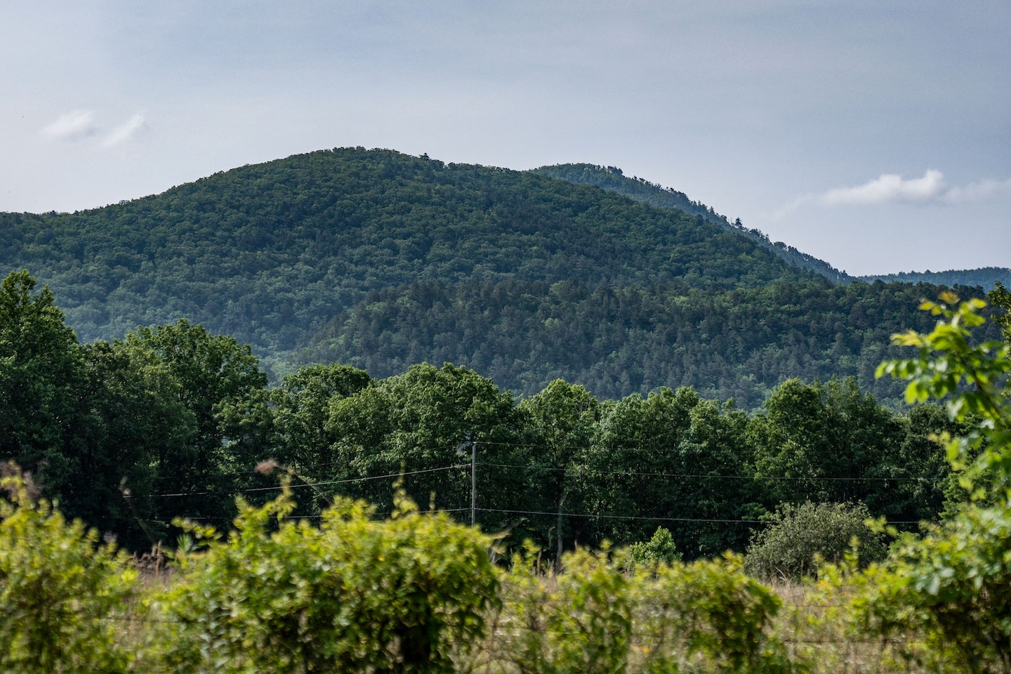 Investigation into Virginia Plane Crash Begins Amidst Sonic Boom and Fighter Jet Sightings.