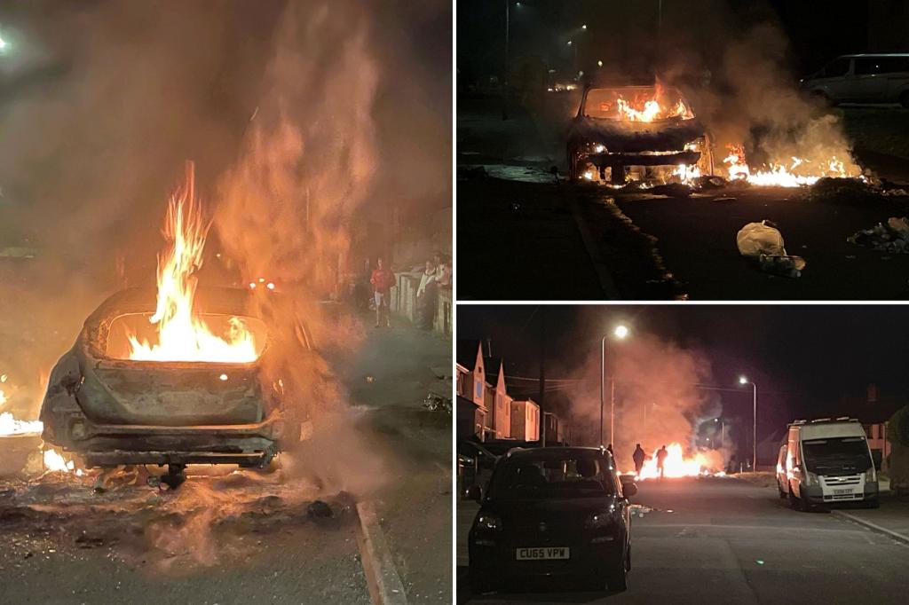 "UK Police Confront Large Scale Disorder Following Cardiff Car Fires"