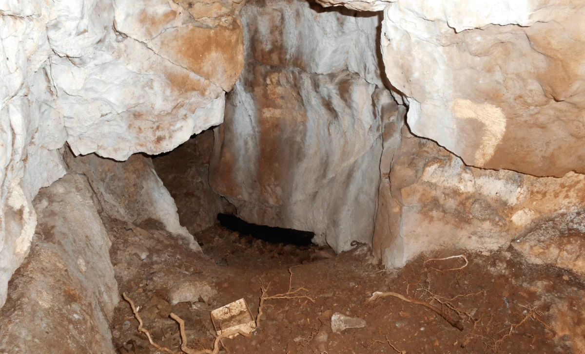 11,000-Year-Old Mesolithic Child Burial Rewrites Britain’s Ancient Narrative