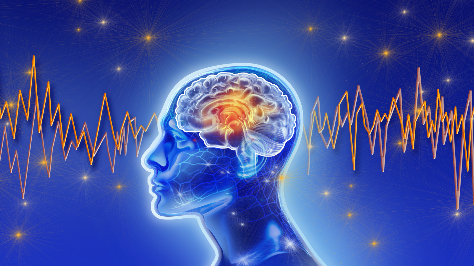 Featured image for New Brain Scans Explain Why Your Mind Goes Blank