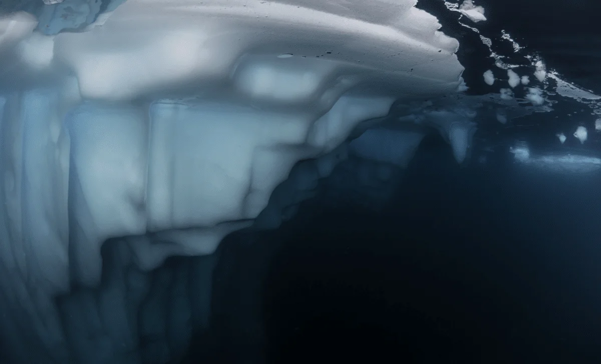 Antarctica Reveals a 175-Million-Year-Old Subglacial Granite Giant