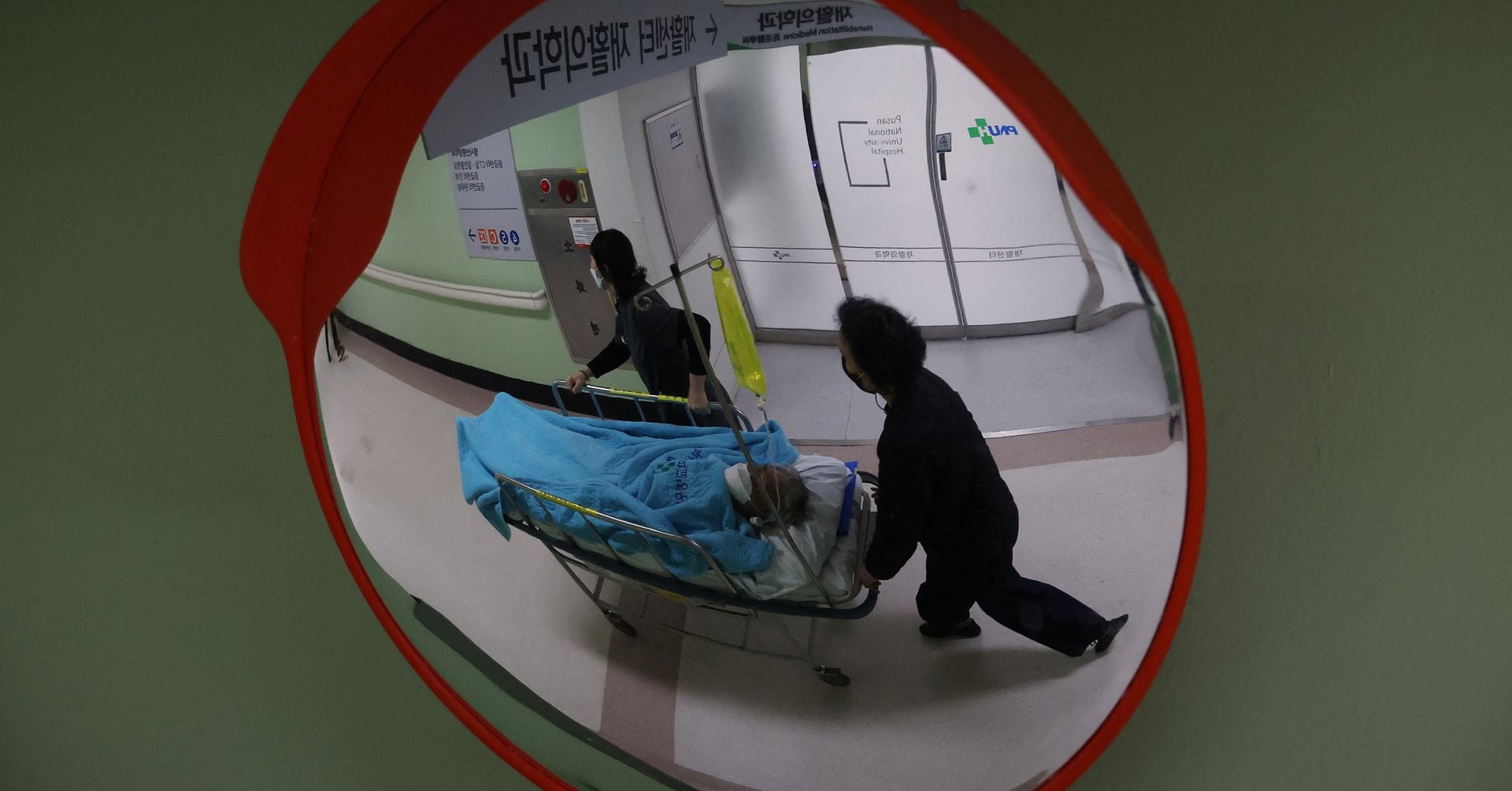 South Korean Doctors Disrupt Hospital Services in Protest