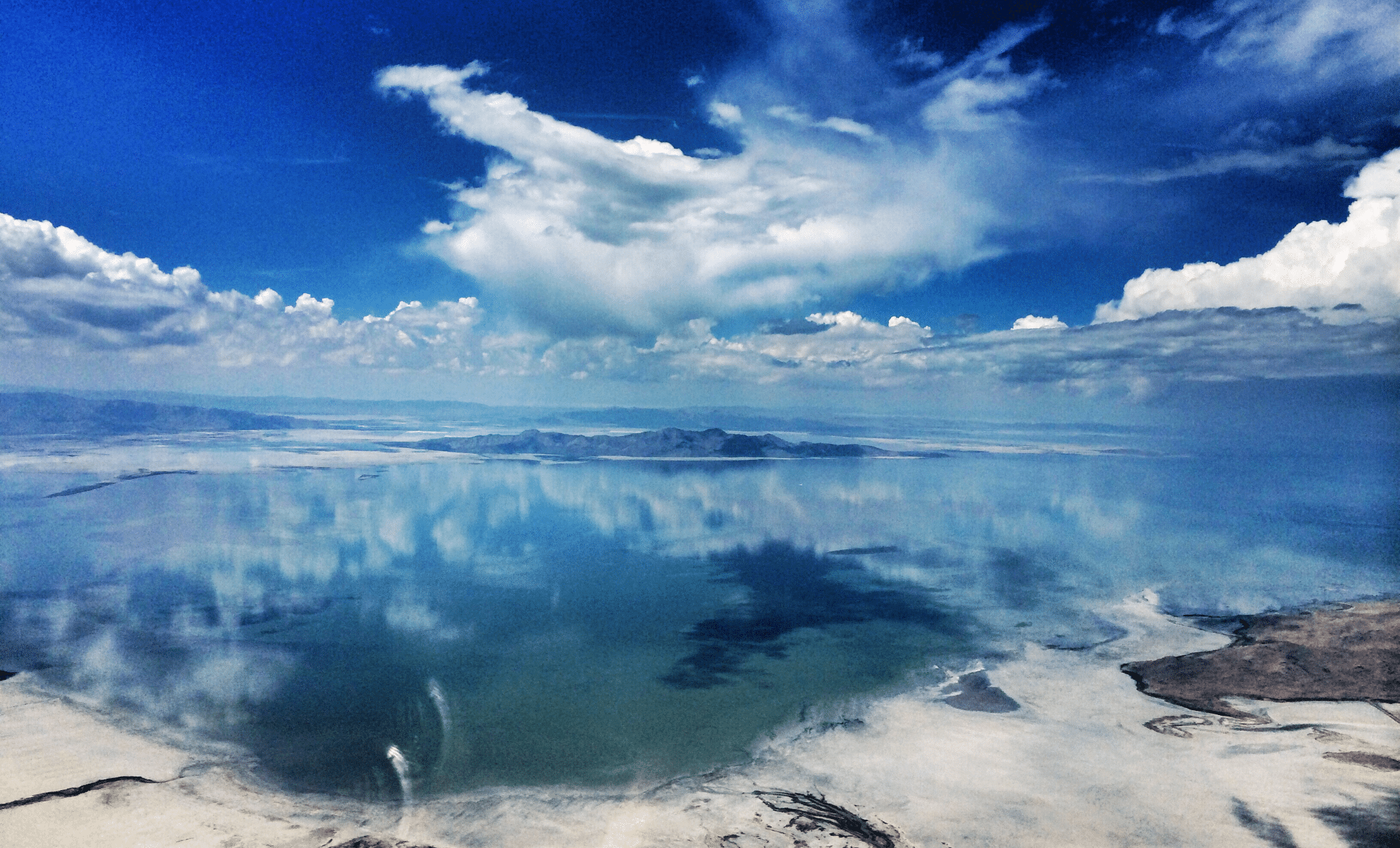 Featured image for Scientists Uncover Surprising New Life in Great Salt Lake