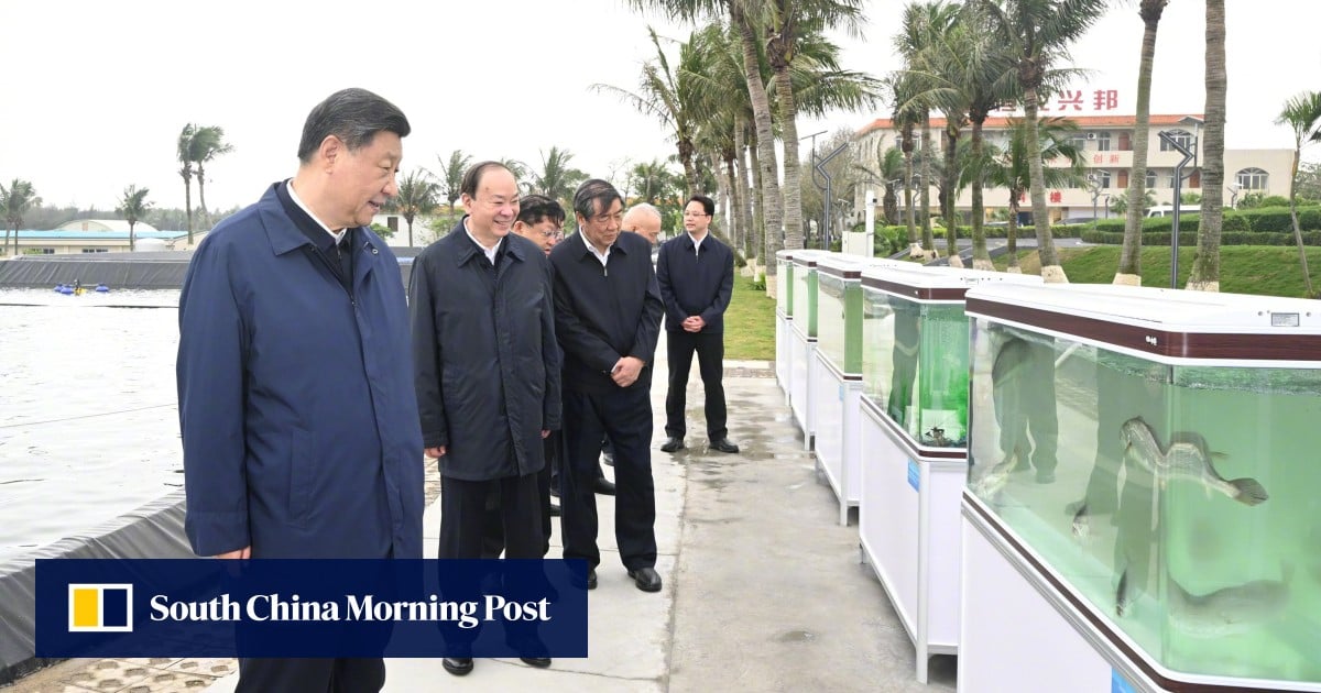 Featured image for Xi Jinping Visits Guangdong Province in Southern China