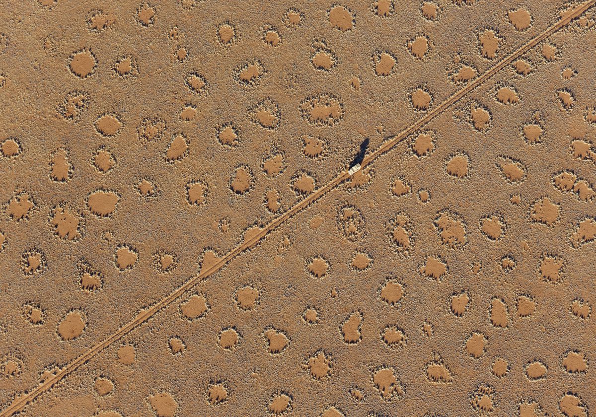 Featured image for "Unveiling the Global Phenomenon: The Enigmatic Fairy Circles Revealed in New Atlas"