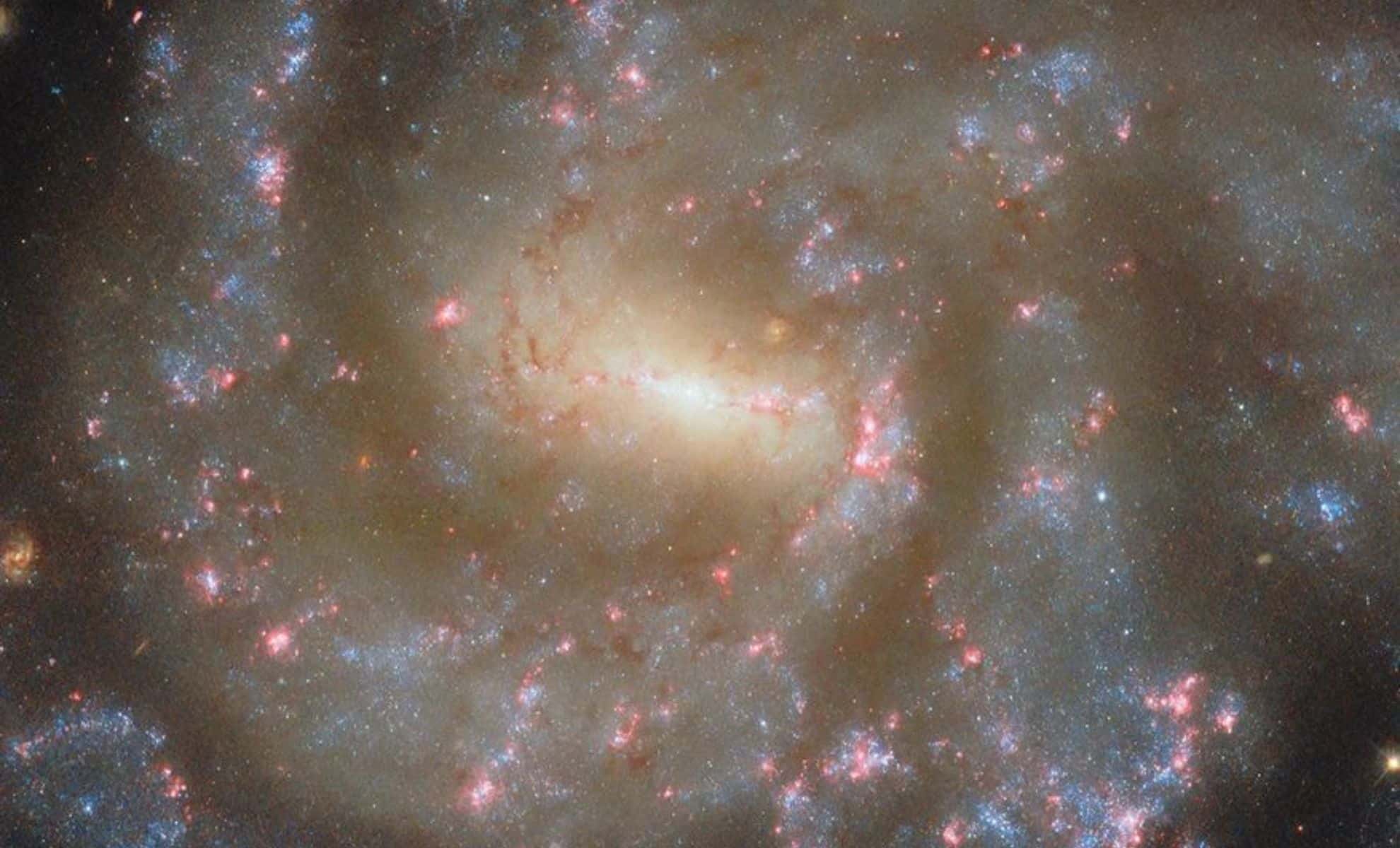 Hubble Reveals Dazzling Star-Forming Spiral Galaxy NGC 685