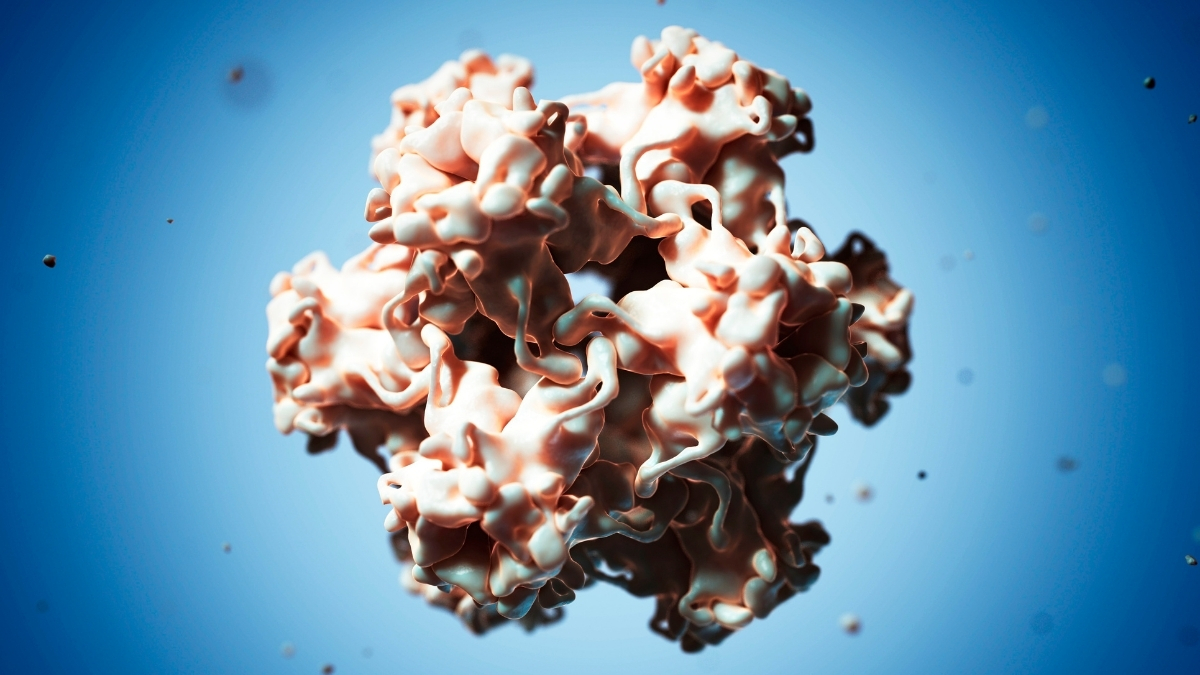 Featured image for Scientists Identify Viral Link to Common Cancer