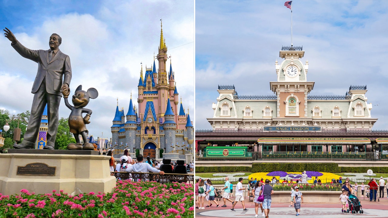 "Man Enters Disney World with 46-Year-Old Pass: The Ultimate Golden Ticket"