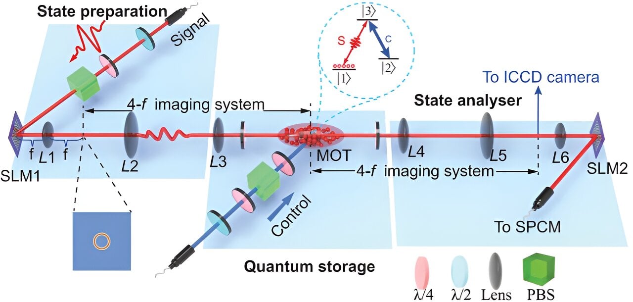 Featured image for "Revolutionizing Quantum Memory: A Highly Efficient, High-Dimensional Approach"