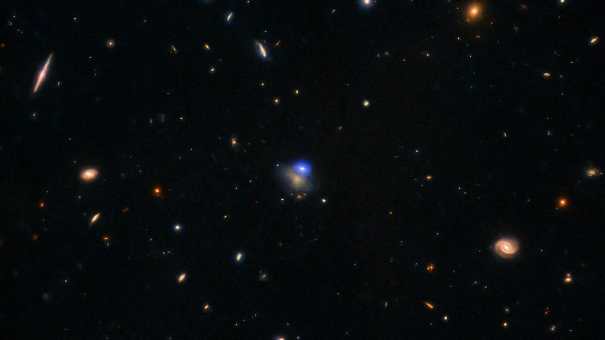Featured image for Scientists Uncover Black Hole Origins of Bright Blue Cosmic Flashes