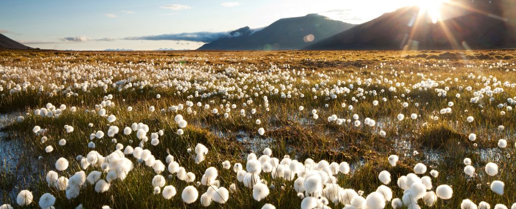 "Hidden Methane Threat: Arctic Permafrost's Potential to Skyrocket Emissions"