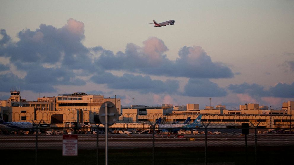 American Airlines flights face bird strikes and engine fires.
