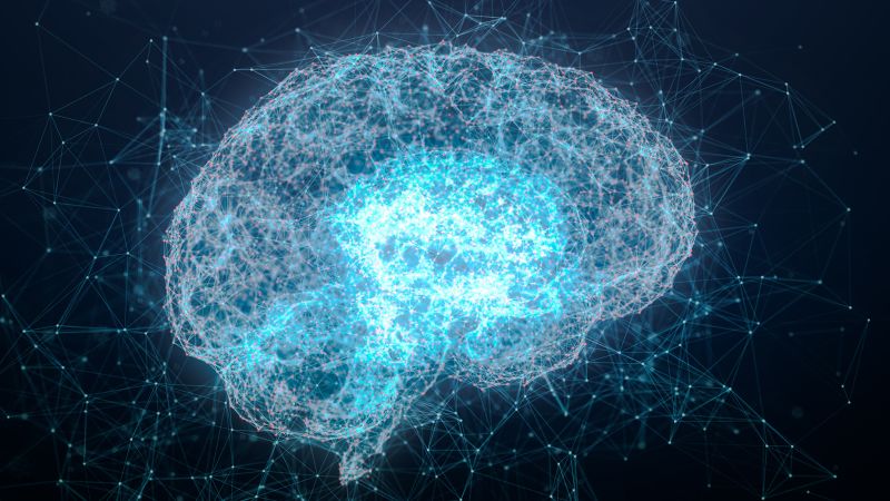 Featured image for "Understanding the Dichotomy of Visualization in Two Brains"