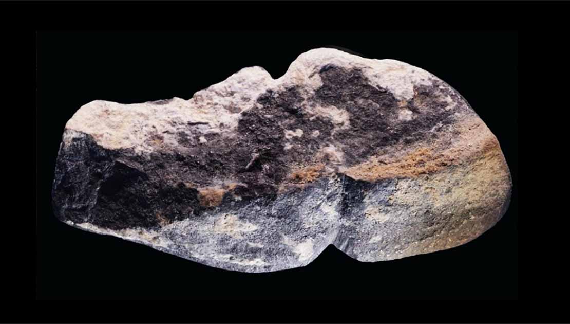 World's Oldest Phallus Found in Mongolia.