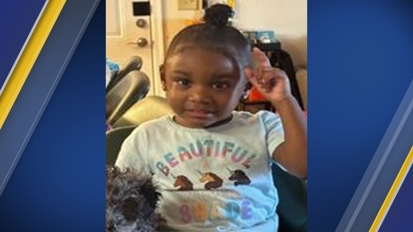 AMBER Alert: 2-Year-Old Girl Abducted, Search Underway
