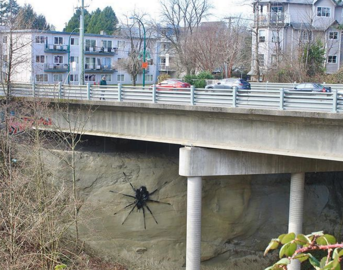 Controversy Surrounds Vancouver's Giant Spider Art Installation.