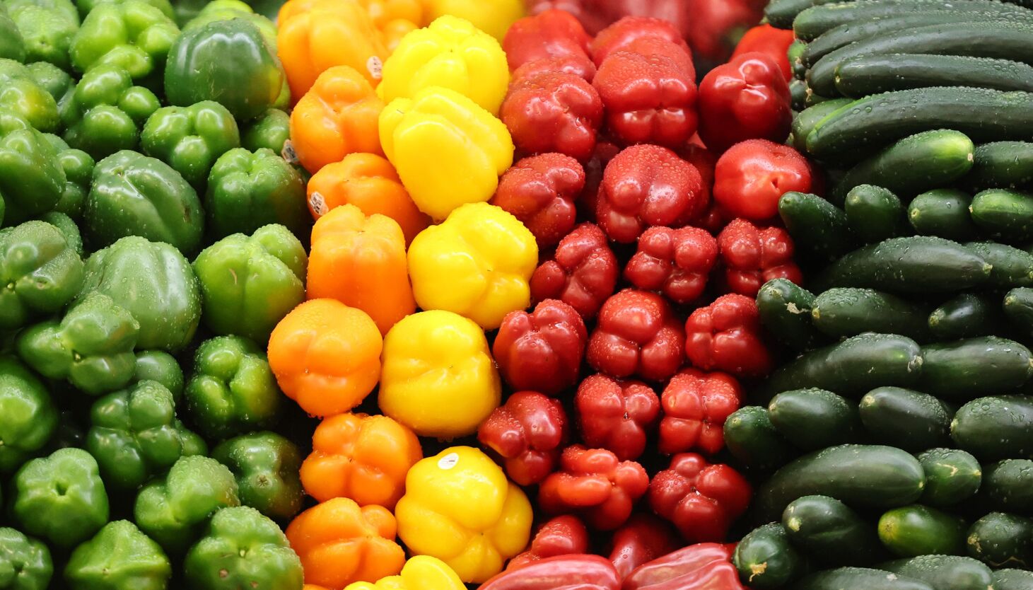 "The Ultimate Guide to Losing Weight with a Low-Carb Diet"