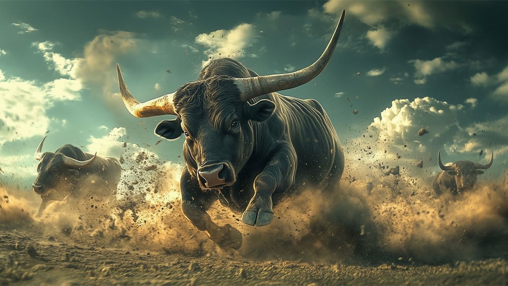 Featured image for Markets Reach New Highs as Tech and AI Stocks Lead Gains