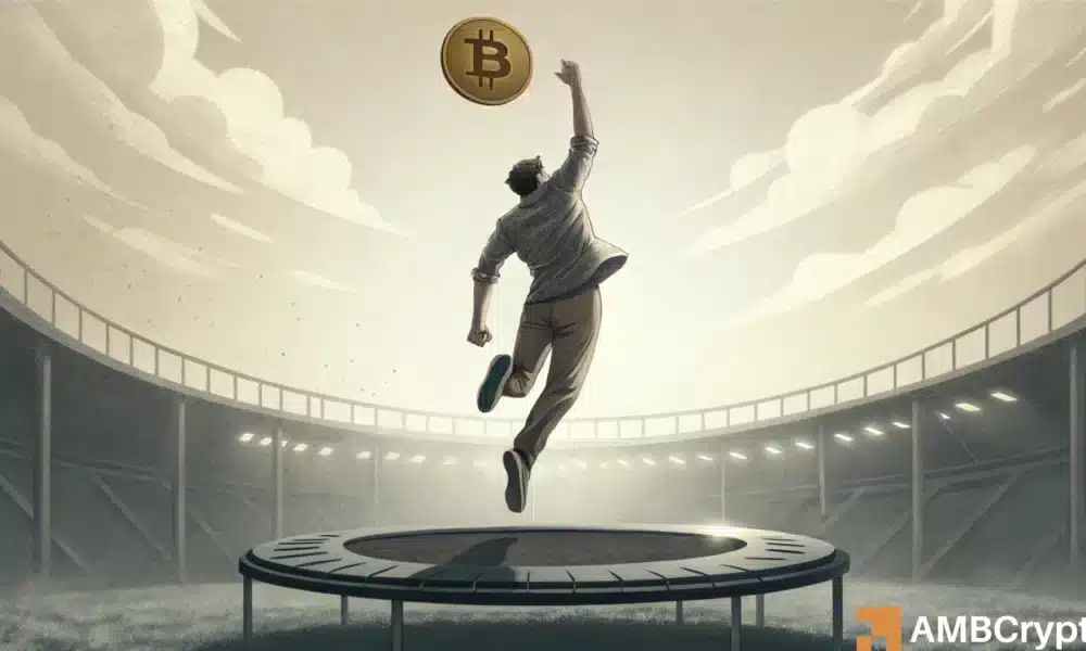 Featured image for Bitcoin's Bull Run: Signs of a Macro Bottom and Future Potential