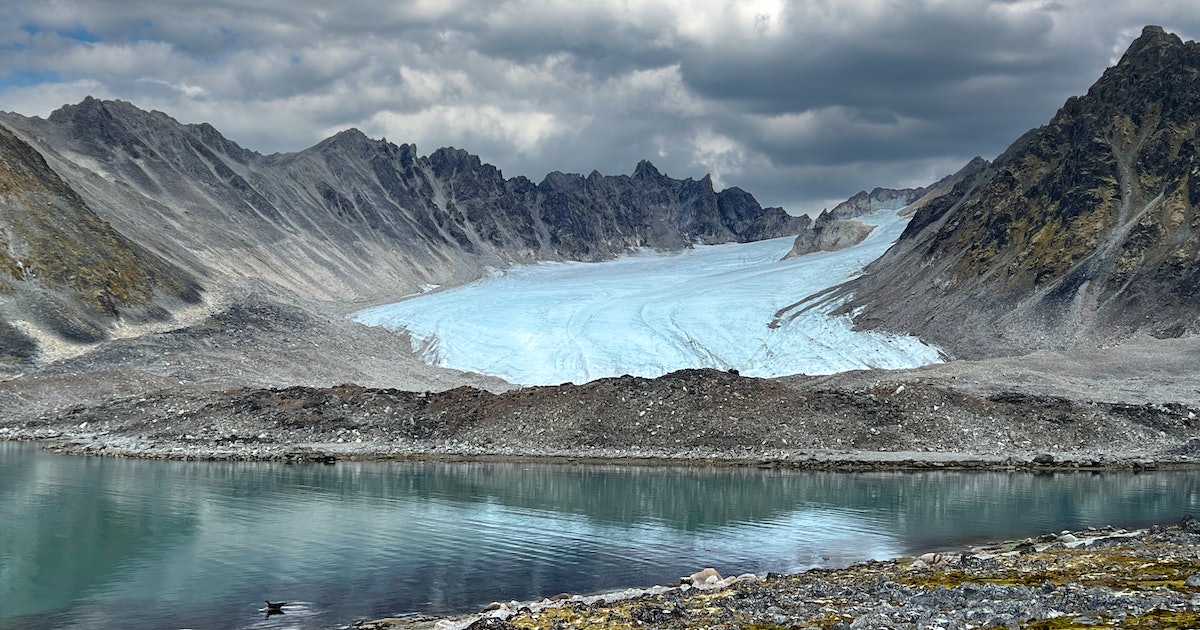 Featured image for Arctic and Alpine Microbes Could Solve Plastic Waste Crisis.