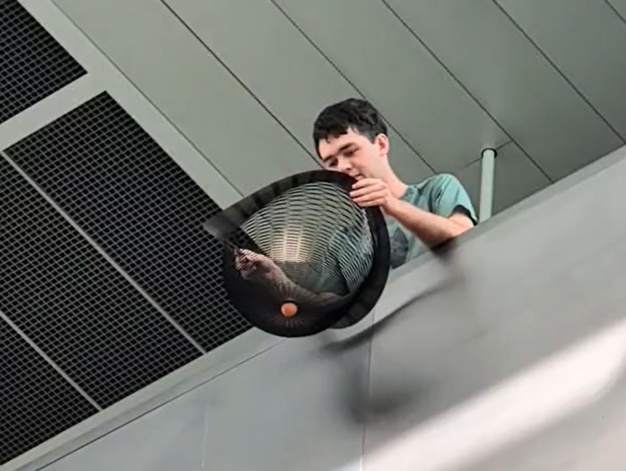 Featured image for Kirigami-Inspired Parachutes for Rapid, Stable Deployment