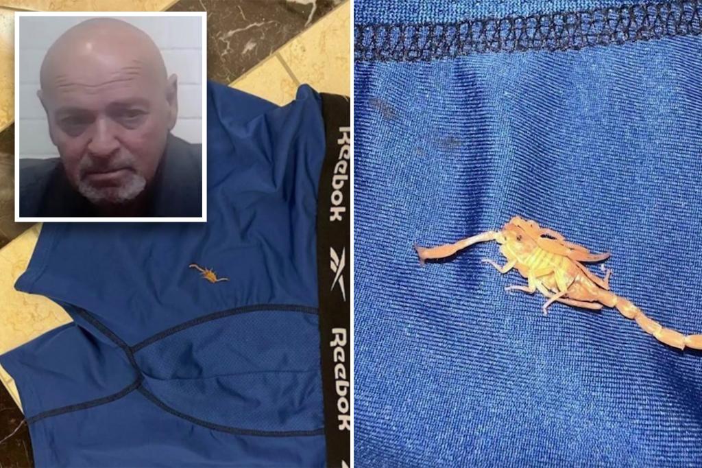 Featured image for "Scorpion Stings Hotel Guest's Testicles in Las Vegas"