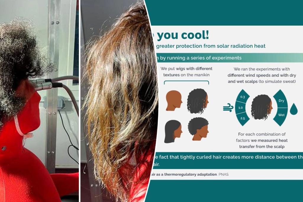 Featured image for The Science of Hair Growth: From Curly Hair to Stem Cells.