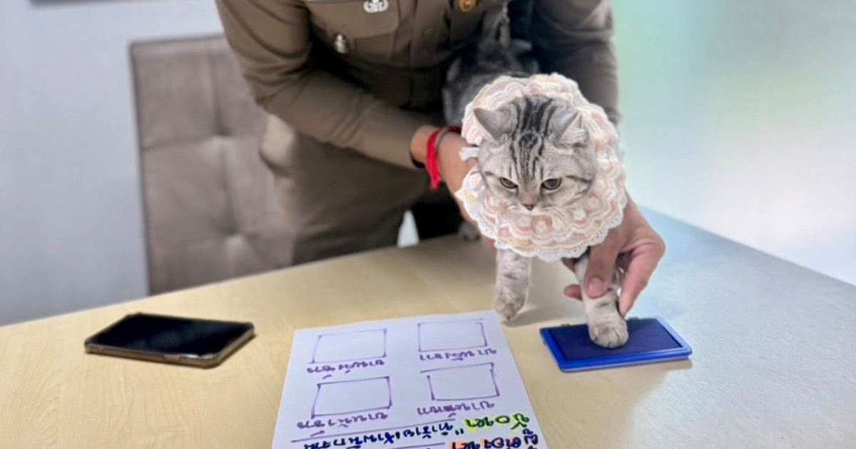 Featured image for Cat's Police Station Chaos Leads to Viral Mugshot
