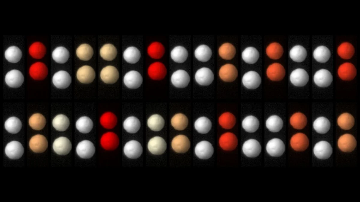Two Beads, One Standing Wave: A Lab-Scale Time Crystal