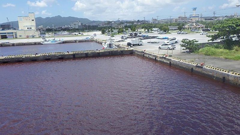 Featured image for "Japan's Sea Turns Crimson as Brewery Leak Causes Environmental Concerns"