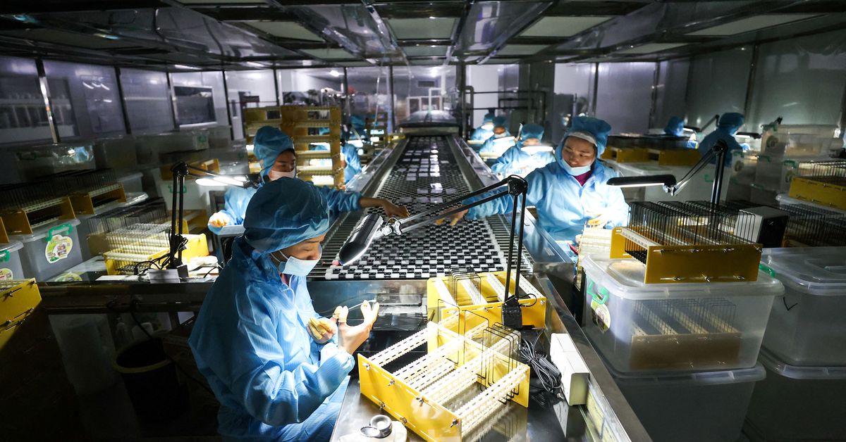 Featured image for Global Markets React to China's Surprise Boost and Eurozone Inflation Data