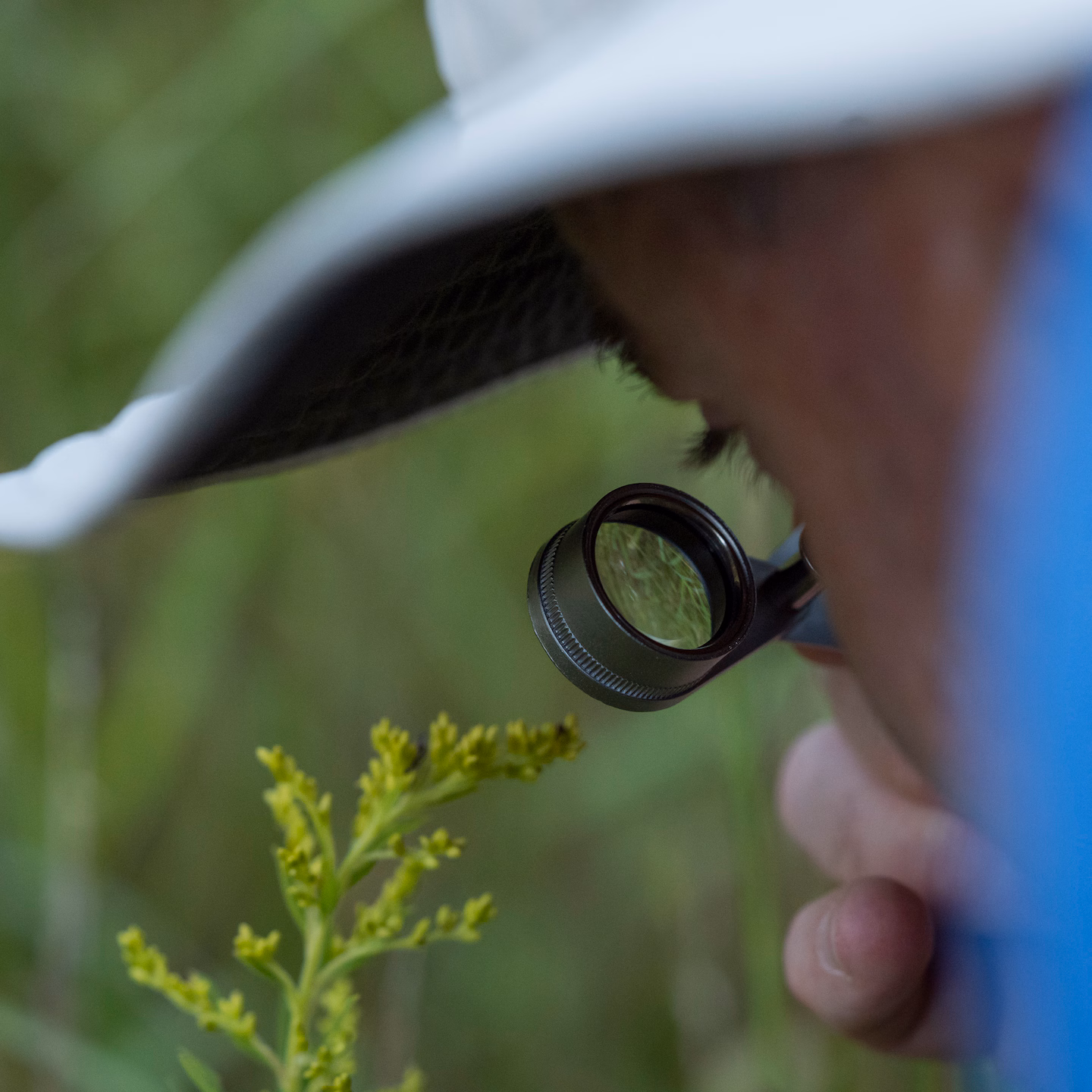 Featured image for Finding Beauty in Difficult Times