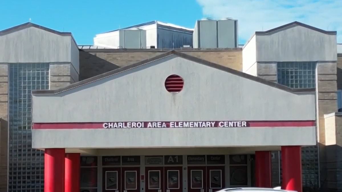 Featured image for Charleroi Area School District switches to remote learning due to student flu outbreak