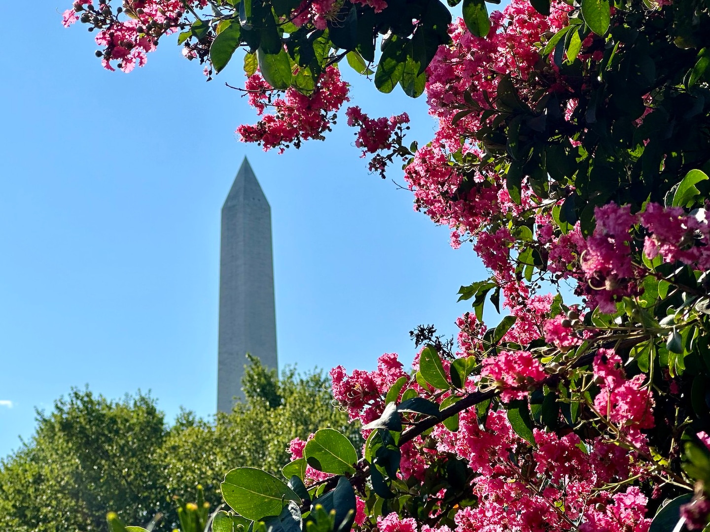 Featured image for Upcoming Weather: Cool Tonight, Extreme Heat on the Way