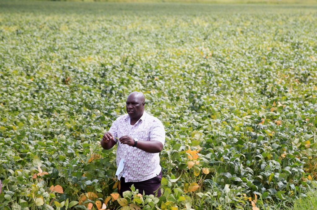 "West Africa's Worst Hunger Crisis in a Decade Leaves Millions Without Aid, UN Reports"