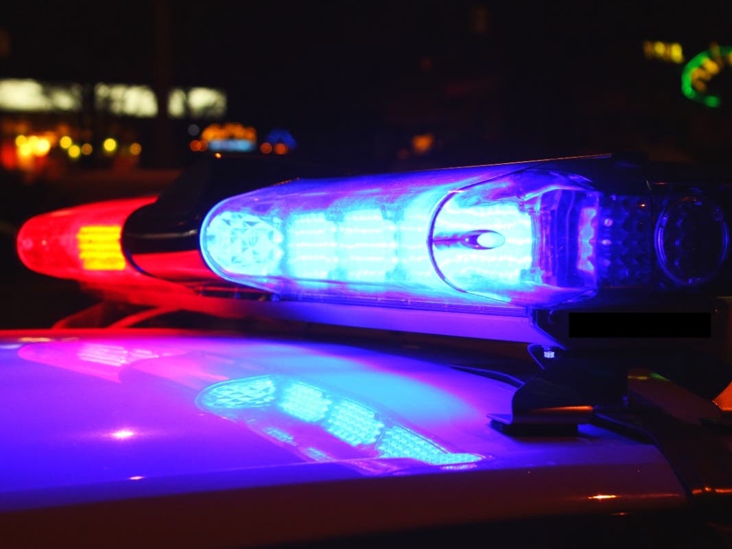 Gun Scare at Chicago Premium Outlet Mall Leads to Arrest