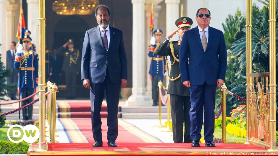 Egyptian President Vows to Protect Somalia from Threats