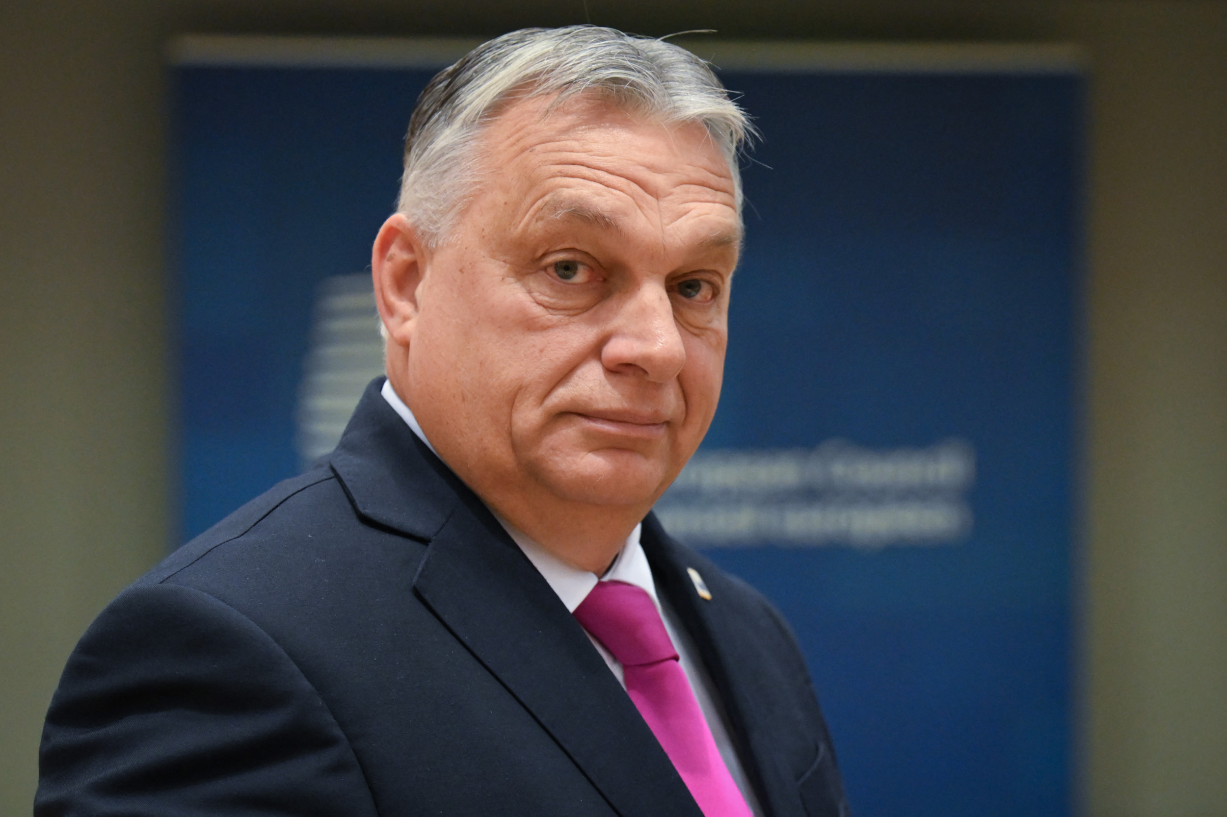 Unveiling Ukraine's Path to EU Accession and Aid Funds