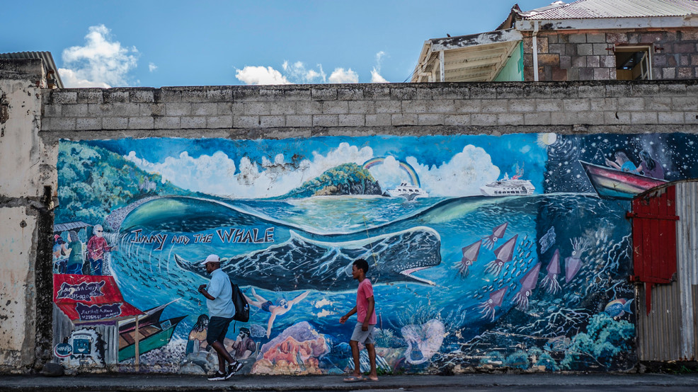 Featured image for Dominica pioneers world's first sperm whale sanctuary