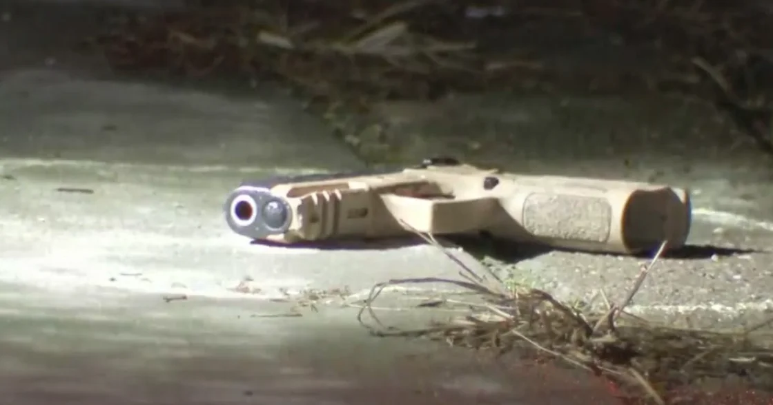 "Push for Gun Control Gains Momentum with White House and Local Support"