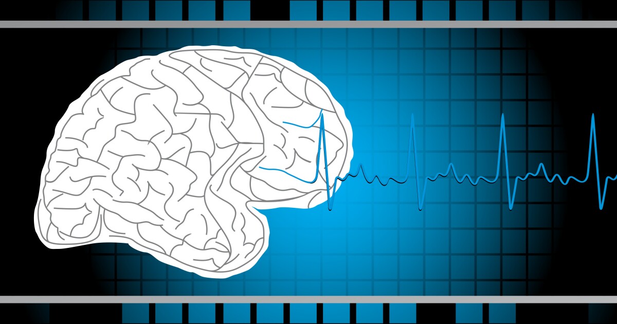 Investigation into Louisville shooter's brain for signs of CTE and police response praised for heroics.