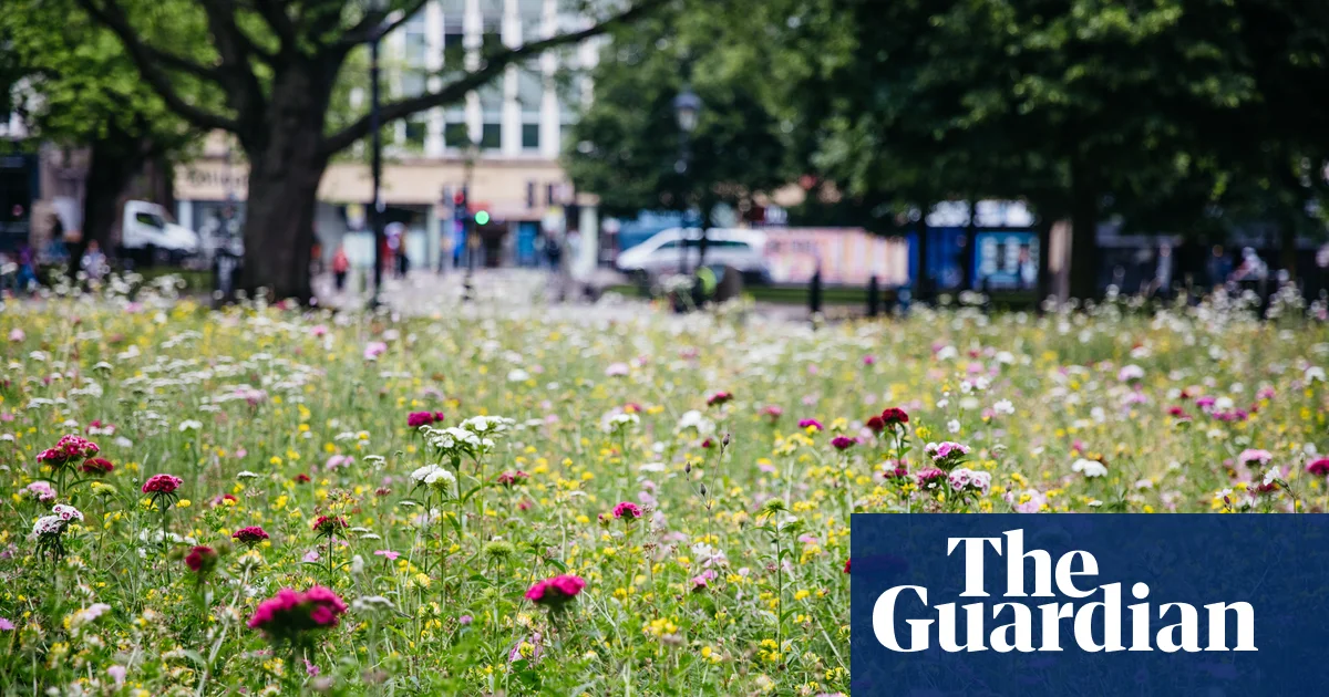 Featured image for Urban Wildflower Patches Rival Natural Meadows for Insect Support