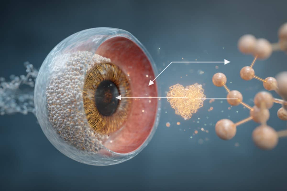 Featured image for New Strategies and Molecules Show Promise in Preventing Age-Related Macular Degeneration
