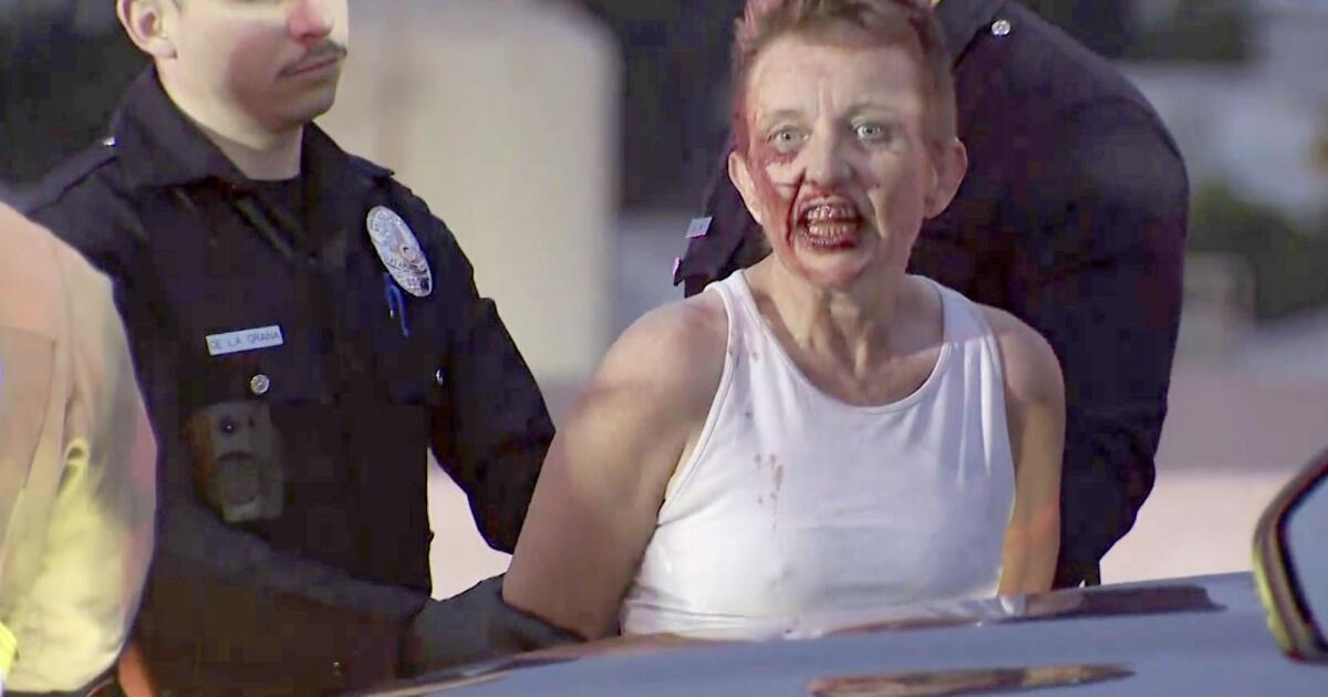 Featured image for "California Dream Turns Tragic: Woman Charged in Wrong-Way 405 Freeway Crash"