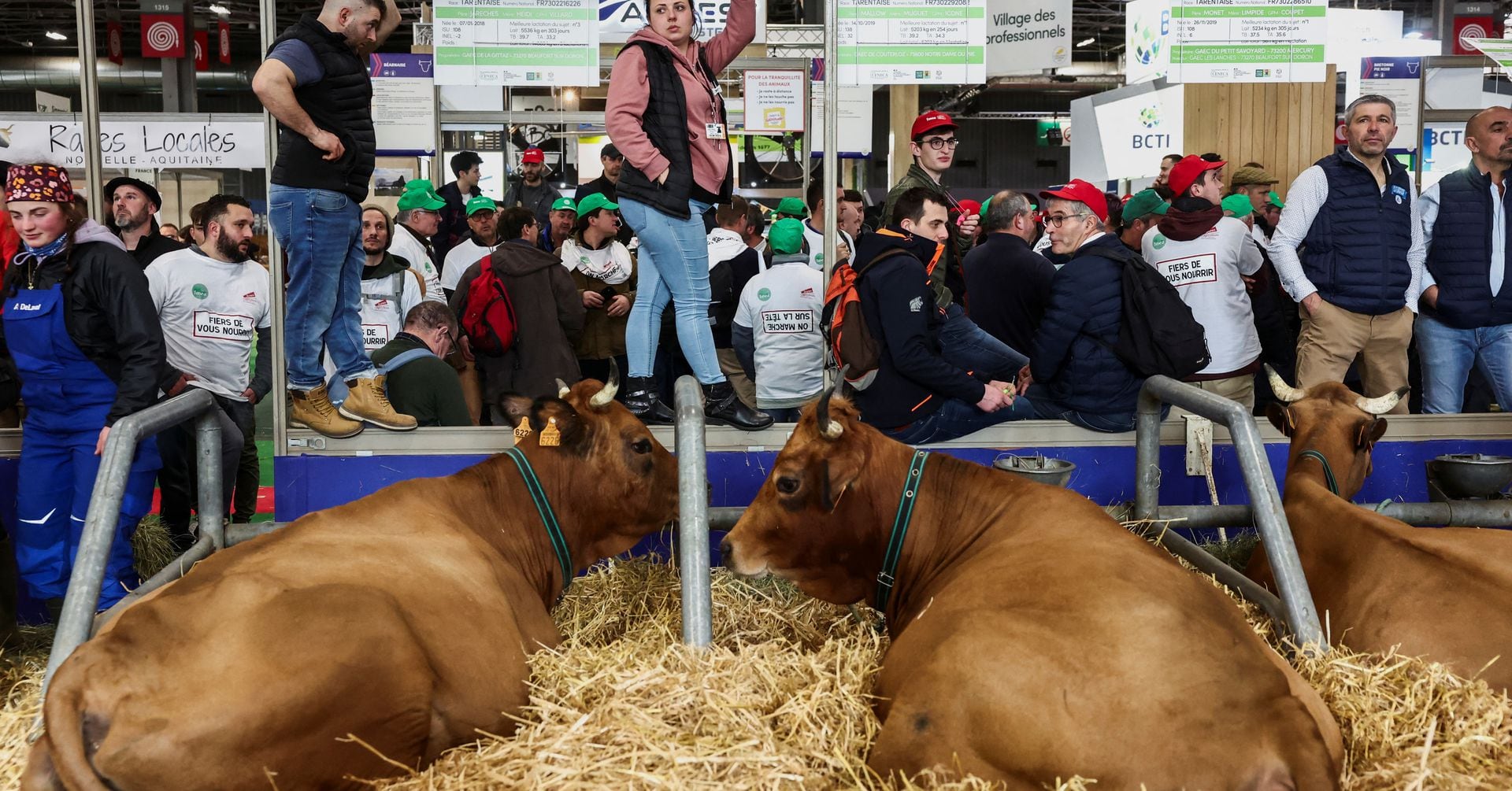 "Macron Faces Fury: French Farmers Storm Paris Agriculture Fair"
