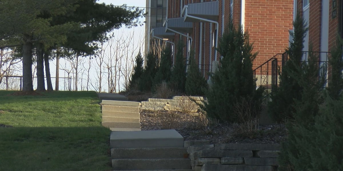 Featured image for "Tragic Officer-Involved Shooting Claims Lives of Child and Man in Macomb Domestic Incident"