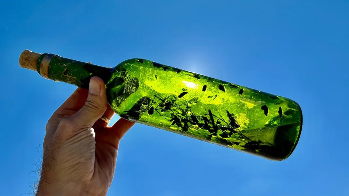 Featured image for Mysterious 'Witch Bottles' Unearthed Along Gulf of Mexico Baffle Researchers