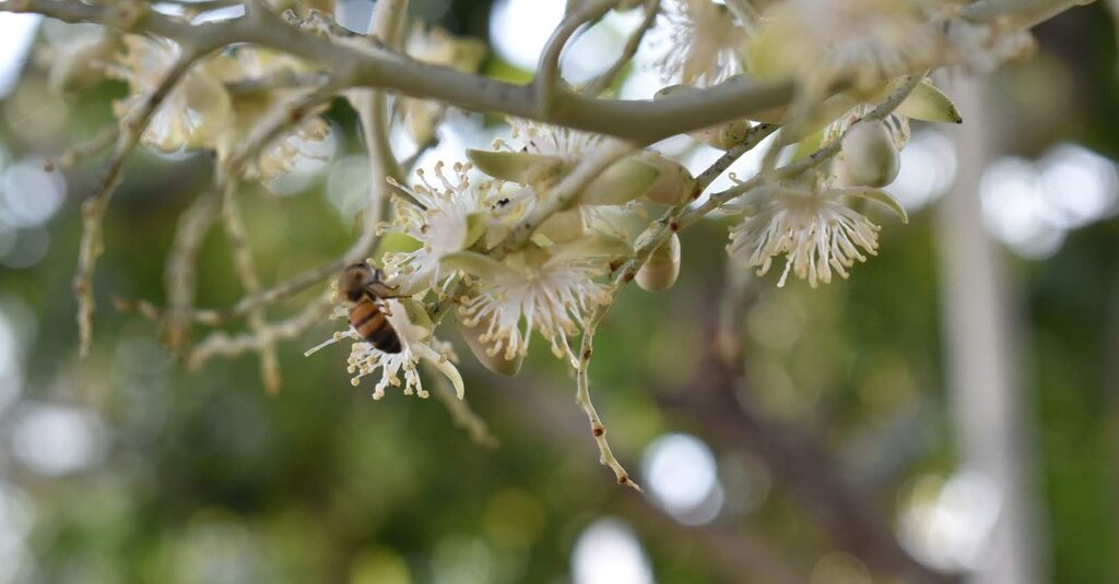 "Winning Words: Spelling Bee Answers Unveiled for November 22, 2023"