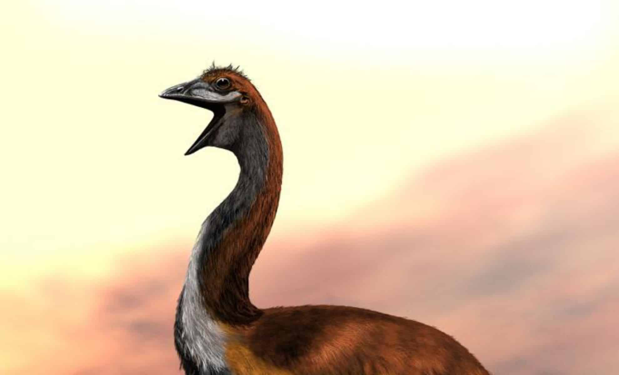 Featured image for Elephant Bird: The Feathered Giant Weighing as Much as a Cow