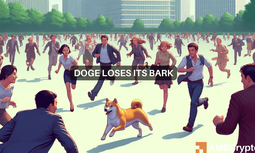 "Dogecoin Long Traders Lose $16 Million: What It Means for You"